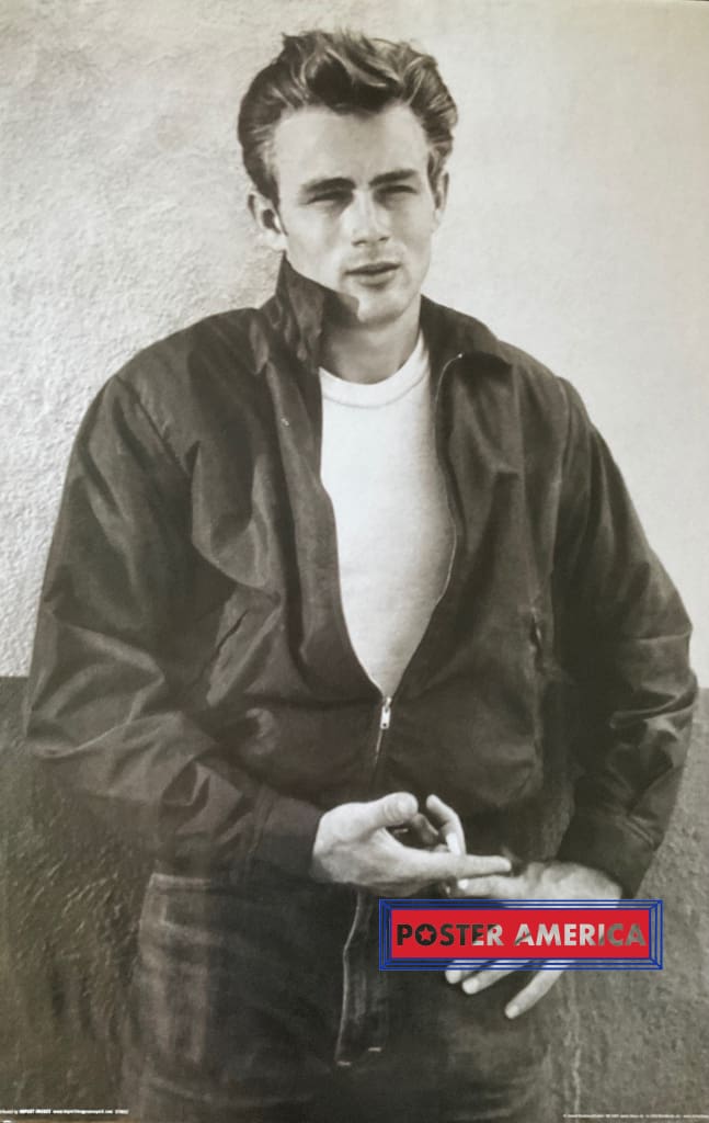 Load image into Gallery viewer, James Dean On The Wall 24 X 36 Poster
