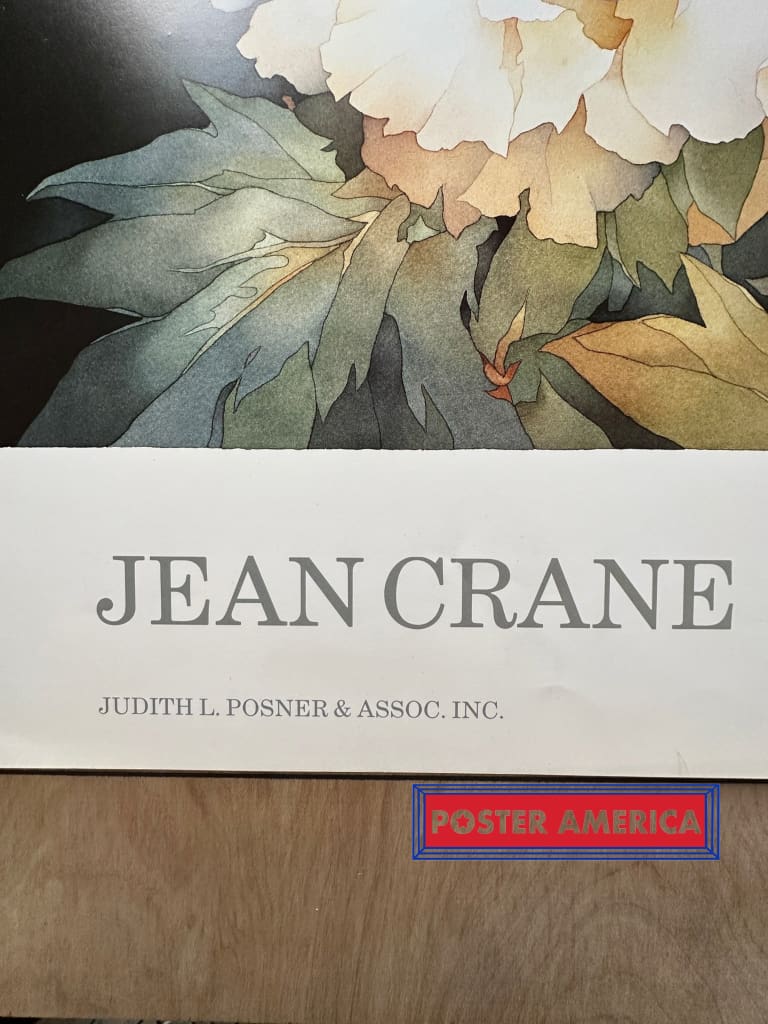 Load image into Gallery viewer, Jean Crane Art Expo Flower Vintage 1984 Print 24 X 30 Vintage Poster
