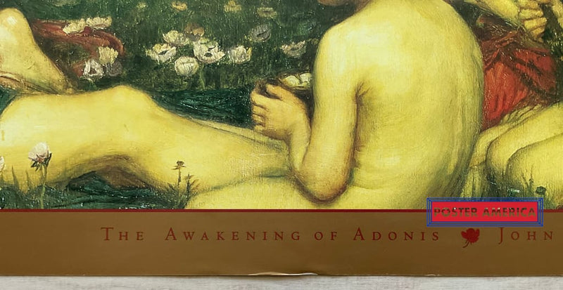 Load image into Gallery viewer, John William Waterhouse The Awakening Of Adonis Vintage Art Slim Print Poster 12 X 36
