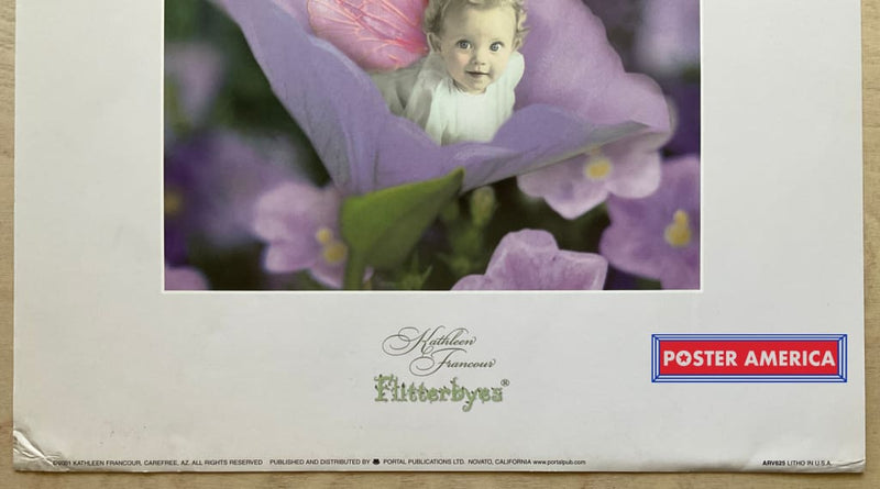 Load image into Gallery viewer, Kathleen Francour Flitterbyes Vintage Photography Slim Print 12 X 36
