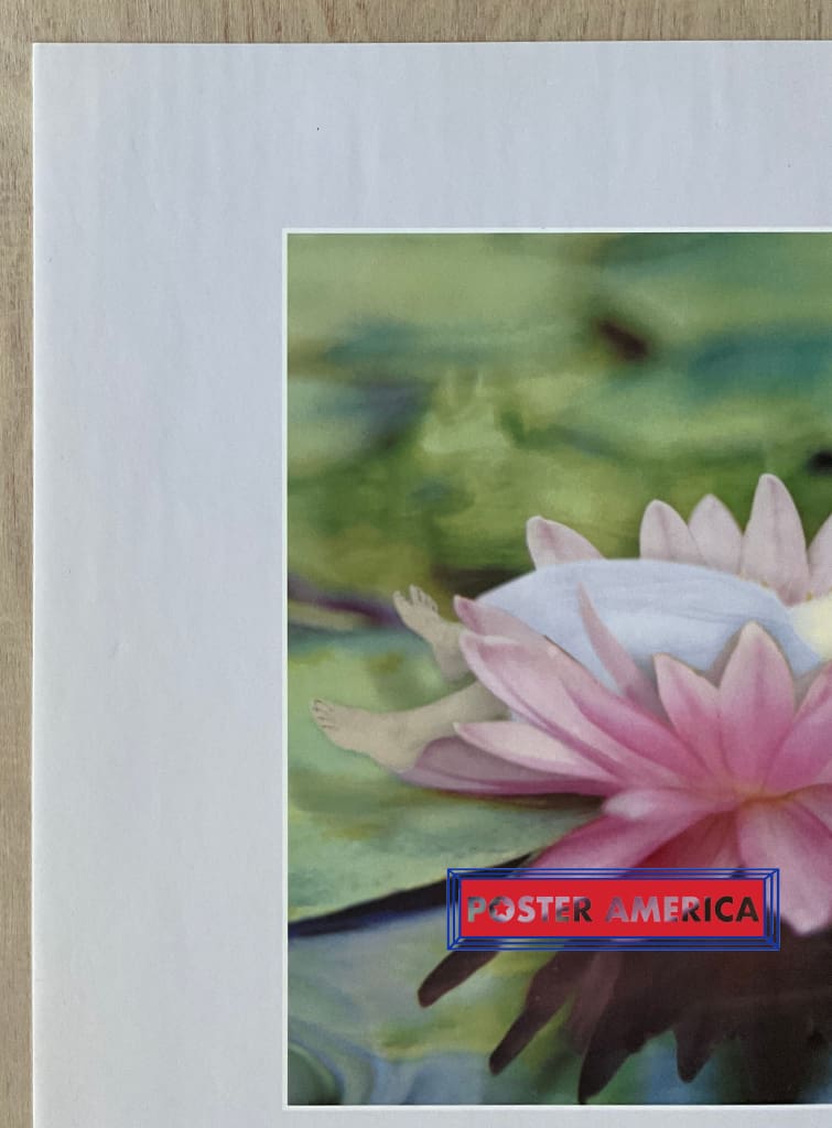 Load image into Gallery viewer, Kathleen Francour Flitterbyes Vintage Photography Slim Print 12 X 36
