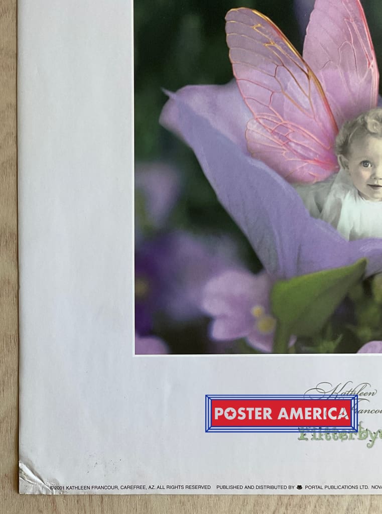 Load image into Gallery viewer, Kathleen Francour Flitterbyes Vintage Photography Slim Print 12 X 36
