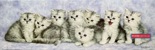 Keith Kimberlin Persian Kittens Vintage 2002 Art Slim Print 12 X 36