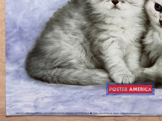 Keith Kimberlin Persian Kittens Vintage 2002 Art Slim Print 12 X 36
