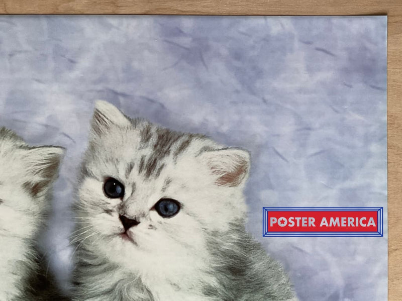 Load image into Gallery viewer, Keith Kimberlin Persian Kittens Vintage 2002 Art Slim Print 12 X 36
