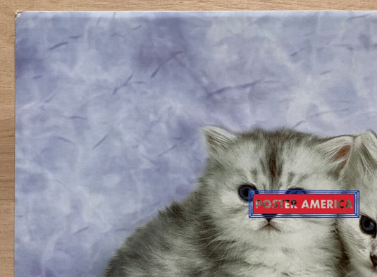 Keith Kimberlin Persian Kittens Vintage 2002 Art Slim Print 12 X 36