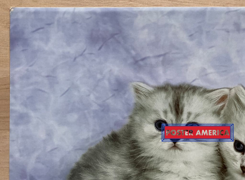 Load image into Gallery viewer, Keith Kimberlin Persian Kittens Vintage 2002 Art Slim Print 12 X 36
