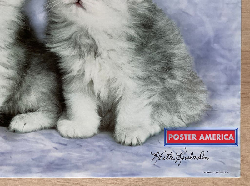 Load image into Gallery viewer, Keith Kimberlin Persian Kittens Vintage 2002 Art Slim Print 12 X 36
