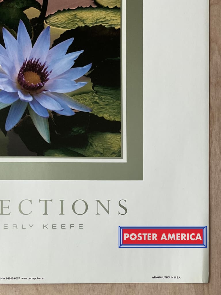 Load image into Gallery viewer, Kimberly Keefe Reflections Water Lillies Vintage 2001 Art Slim Print 12 X 36
