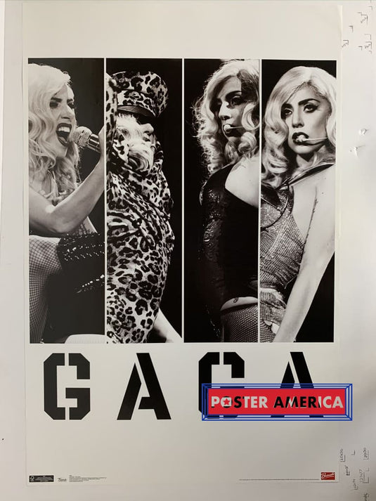 Lady Gaga 2011 Trends Poster 22.5 X 34