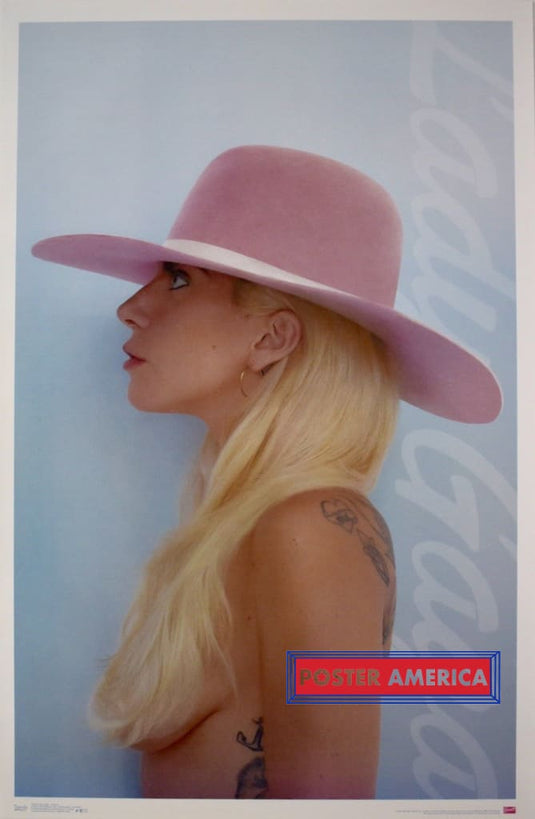 Lady Gaga Pink Hat Poster 22 X 34
