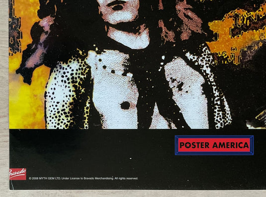 Led Zeppelin How The West Was Won Album Promo Slim Print 12 X 36