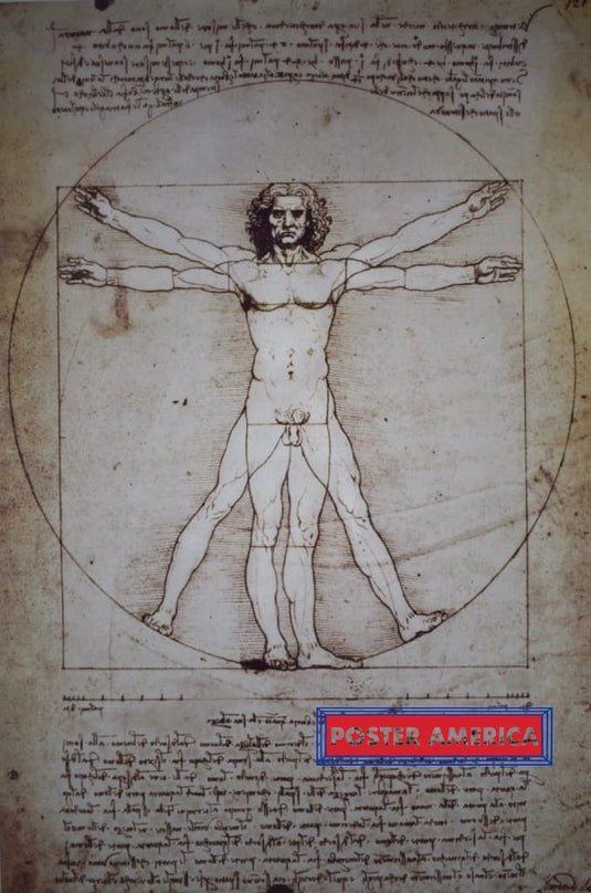 Leonardo Da Vinci Vitruvian 1492 Art Reproduction Poster 24 X 36