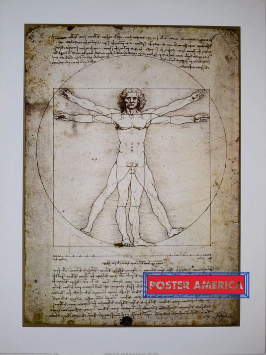 Leonardo Da Vinci Vitruvian Man 1492 Art Reproduction Poster 23.5 X 31.5