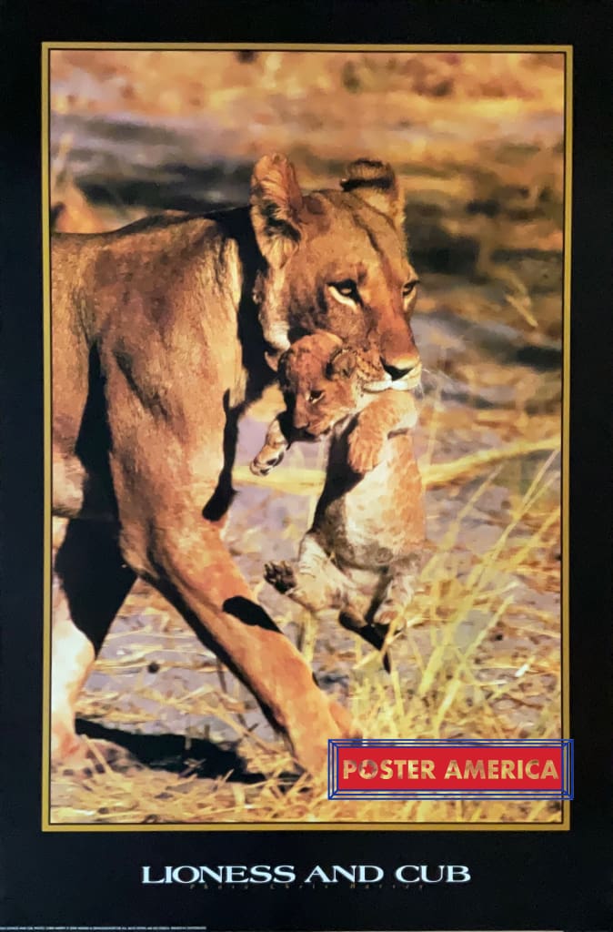 Load image into Gallery viewer, Lioness And Cub Vintage Uk Import Poster 24 X 36
