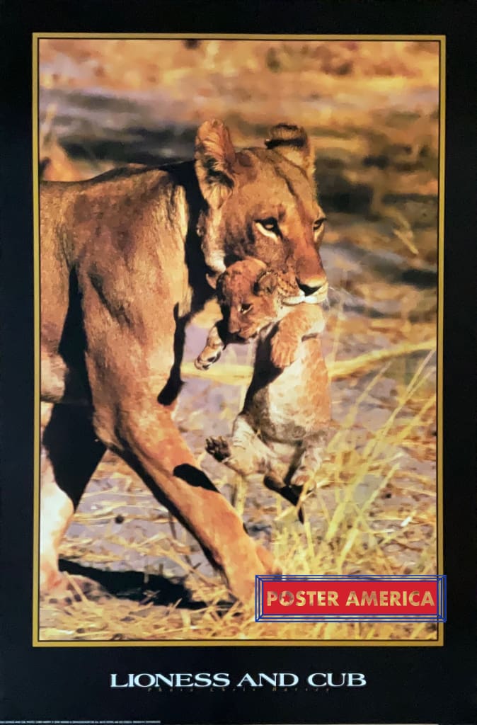 Load image into Gallery viewer, Lioness And Cub Vintage Uk Import Poster 24 X 36
