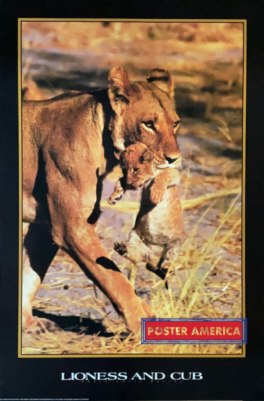 Lioness And Cub Vintage Uk Import Poster 24 X 36