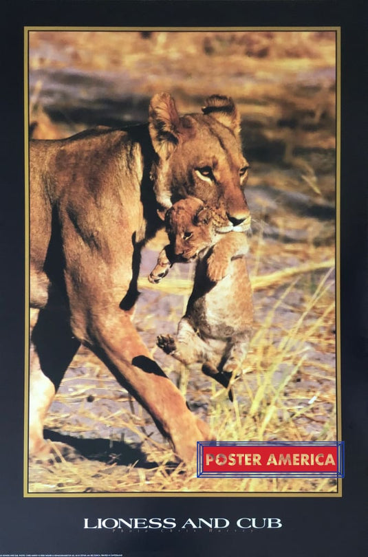 Lioness And Cub Vintage Uk Import Poster 24 X 36 Posters Prints & Visual Artwork