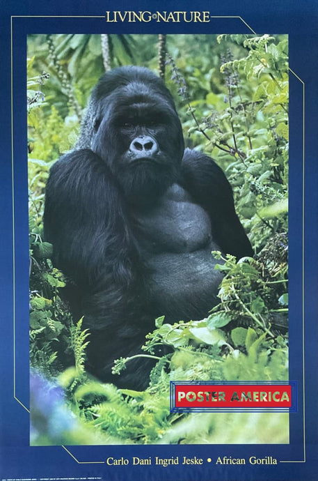 Living Nature African Gorilla Vintage 1990 Poster 24 X 36