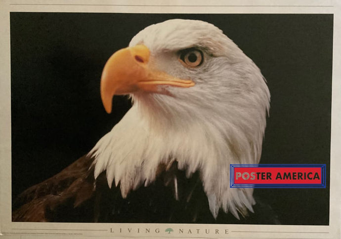 Living Nature America Eagle Vintage 1996 Poster 24 X 34.5 Italian Import Out Of Print
