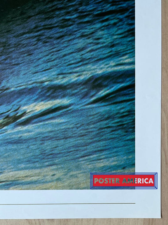 Living Nature Dolphins Vintage 1991 Italian Import Photography Poster 24 X 34.5