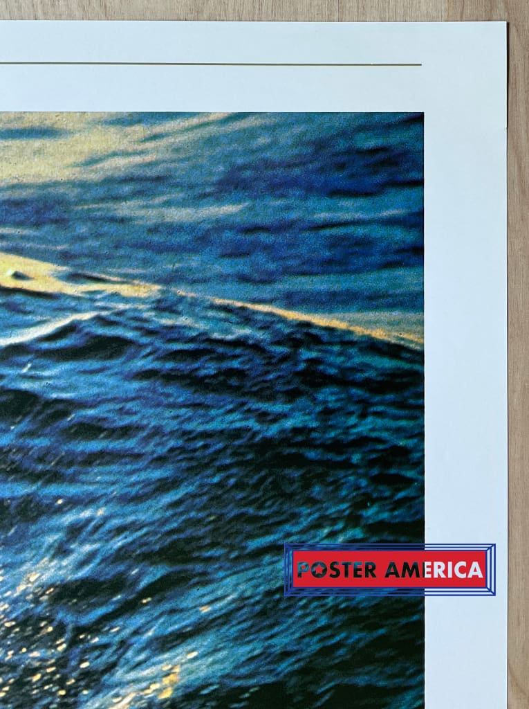 Load image into Gallery viewer, Living Nature Dolphins Vintage 1991 Italian Import Photography Poster 24 X 34.5
