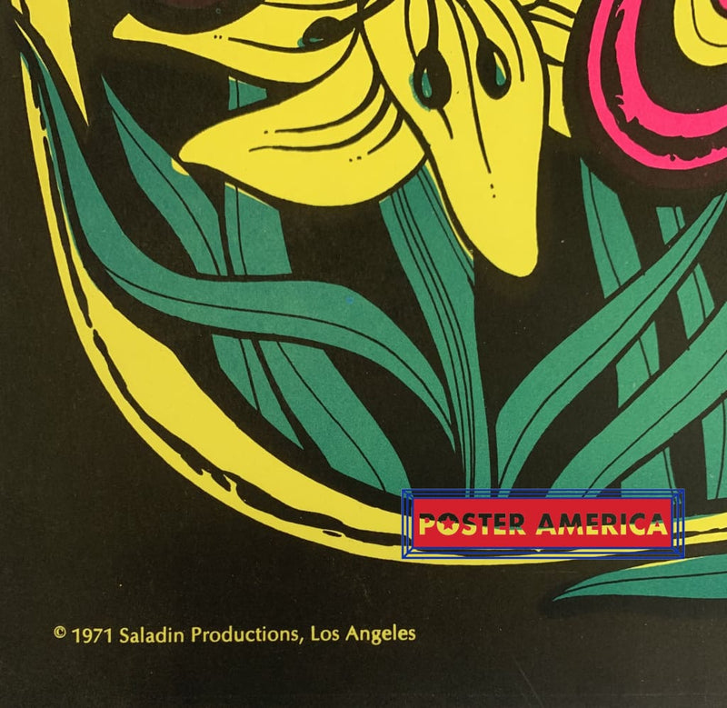 Load image into Gallery viewer, Lunar Moth Black Light 1971 Poster 23 X 35 Blacklight
