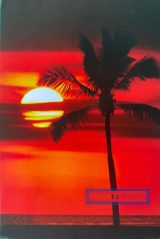 Maldives Evening Sunset Uk Import Poster 24 X 36