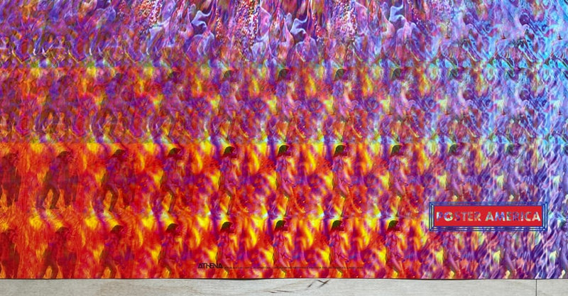 Load image into Gallery viewer, Metamorphosis Vintage Psychedelic Art Poster 23.5 X 35
