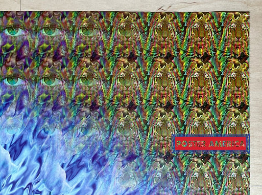 Metamorphosis Vintage Psychedelic Art Poster 23.5 X 35