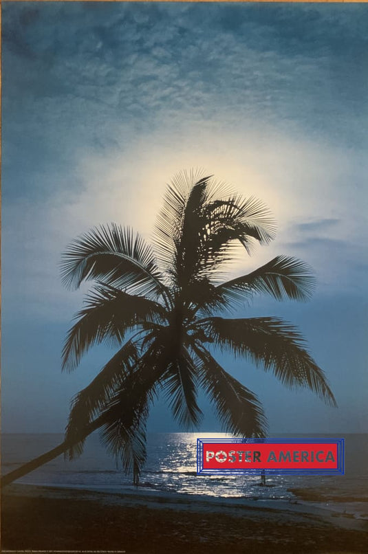 Moonlight Sonata Vintage Swiss Import Poster 2002 24 X 36 Vertical Photo Beach At Night