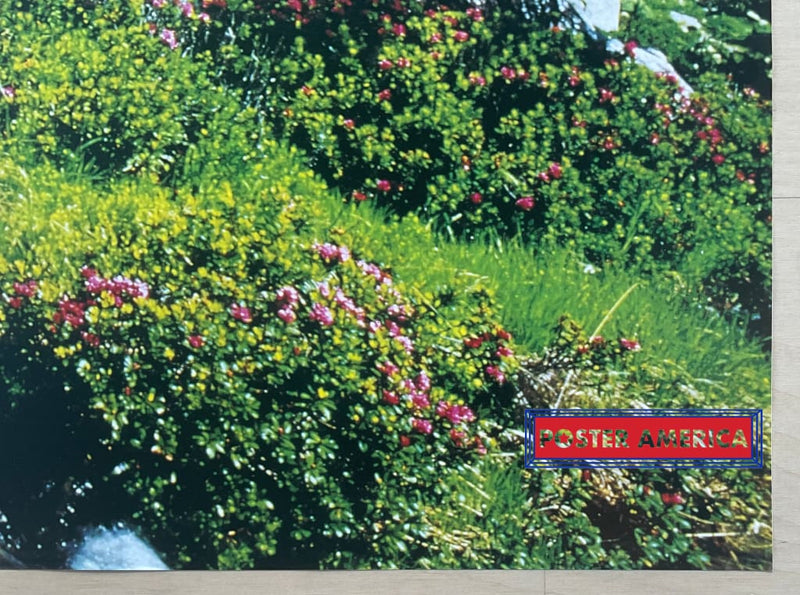 Load image into Gallery viewer, Mountain Stream Vintage 1999 Italian Import Poster 24 X 34.5

