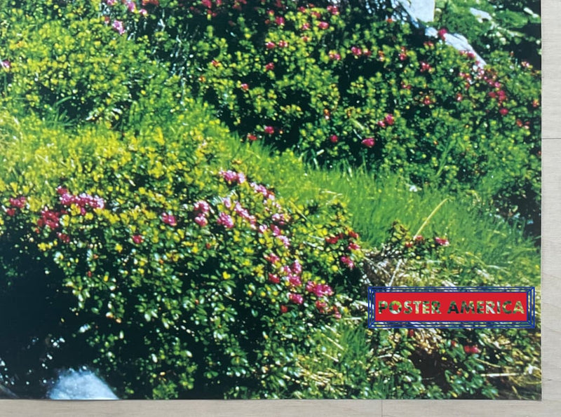 Load image into Gallery viewer, Mountain Stream Vintage 1999 Italian Import Poster 24 X 34.5
