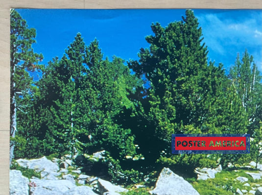 Mountain Stream Vintage 1999 Italian Import Poster 24 X 34.5