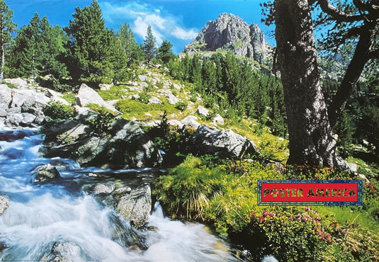 Mountain Stream Vintage 1999 Italian Import Poster 24 X 36 Vintage Poster