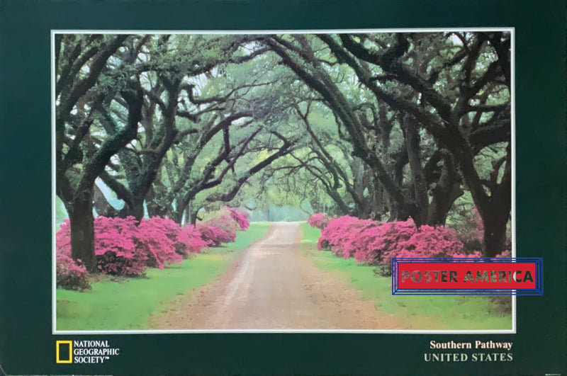 Load image into Gallery viewer, National Geographic Society Southern Pathway Us Vintage Print 24 X 36 Vintage Poster
