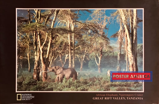 National Geographic Tanzania Vintage Poster 24 X 36 African Elephant Ngorongoro Center