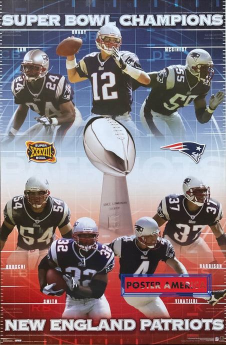 New England Patriots Super Bowl Champions 2004 Nfl Poster 22.5 X 34 Tom Brady Ty Law Adam Vinatieri