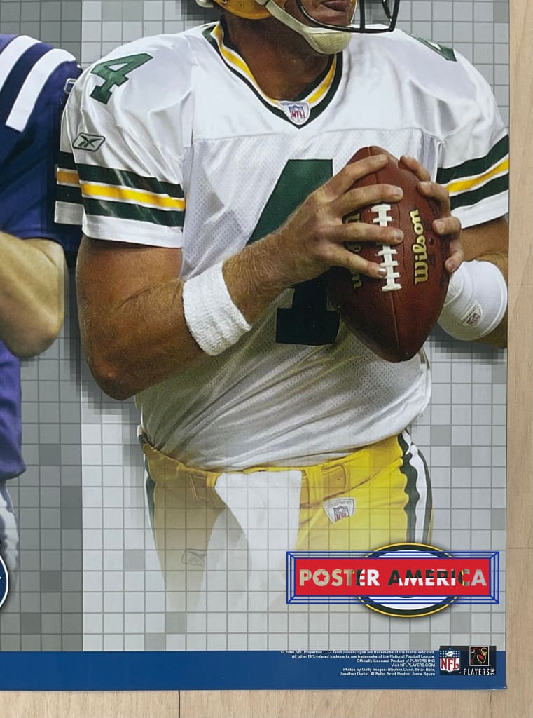Load image into Gallery viewer, Nfl Action 2004 Premier Players Poster 22 X 34
