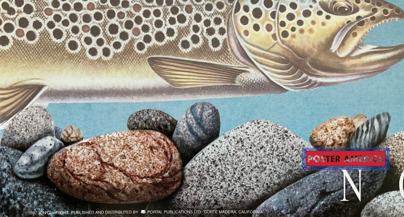 Load image into Gallery viewer, Xxx - North American Trout Vintage Art Print 12 X 36 Posters Prints &amp; Visual Artwork
