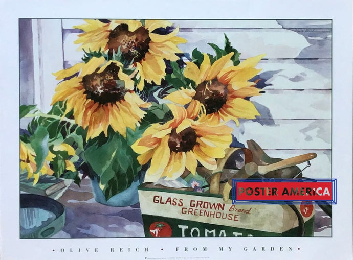 Olive Reich From My Garden Art Print 18 X 24 Fine