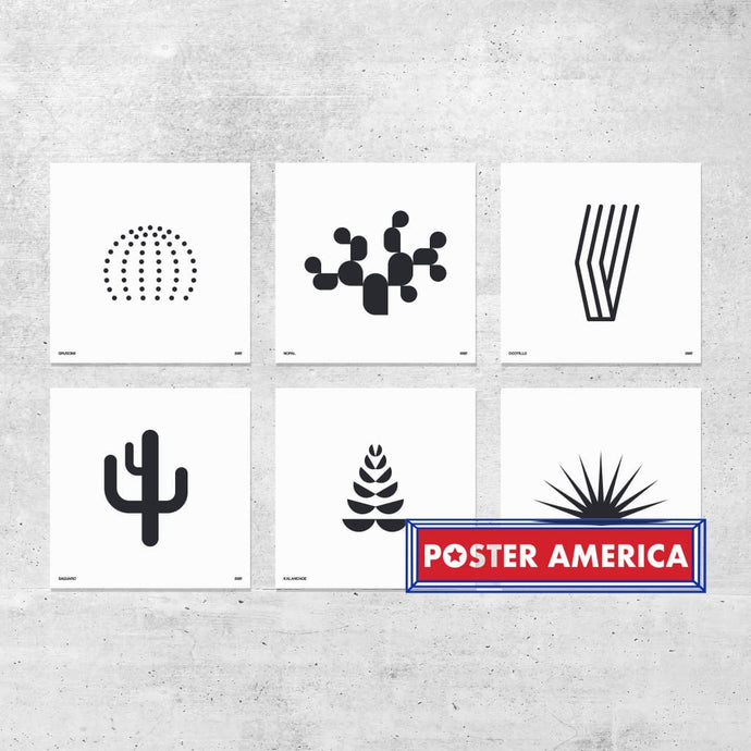 Orange & Park Succulent Prints 12 X Complete Set Of 6 Poster