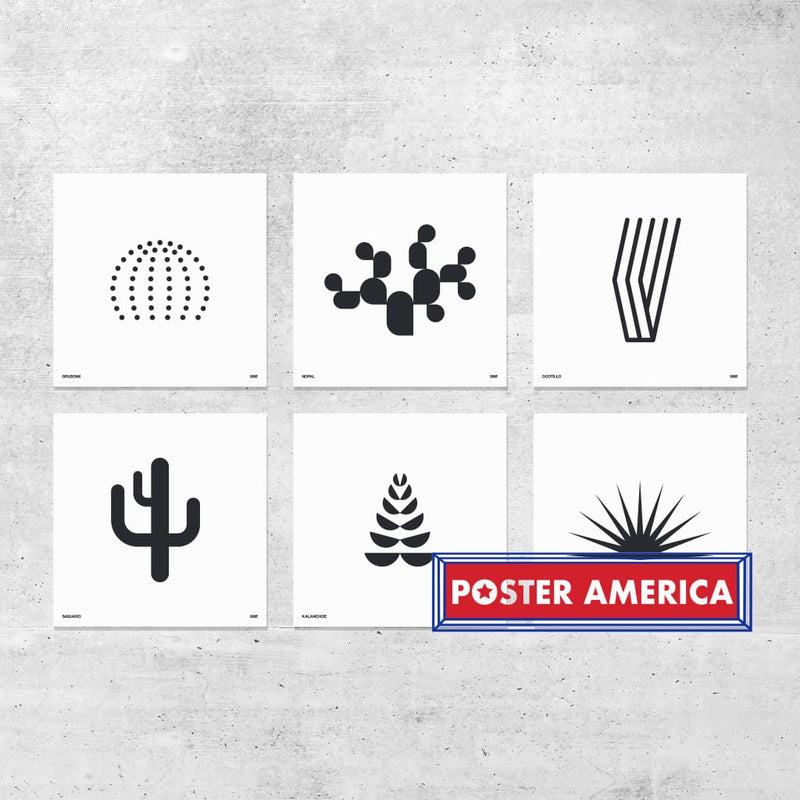 Load image into Gallery viewer, Orange &amp; Park Succulent Prints 12 X Complete Set Of 6 Poster
