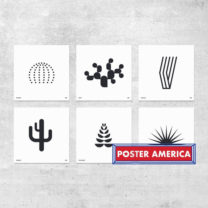 Load image into Gallery viewer, Orange &amp; Park Succulent Prints 12 X Complete Set Of 6 Poster
