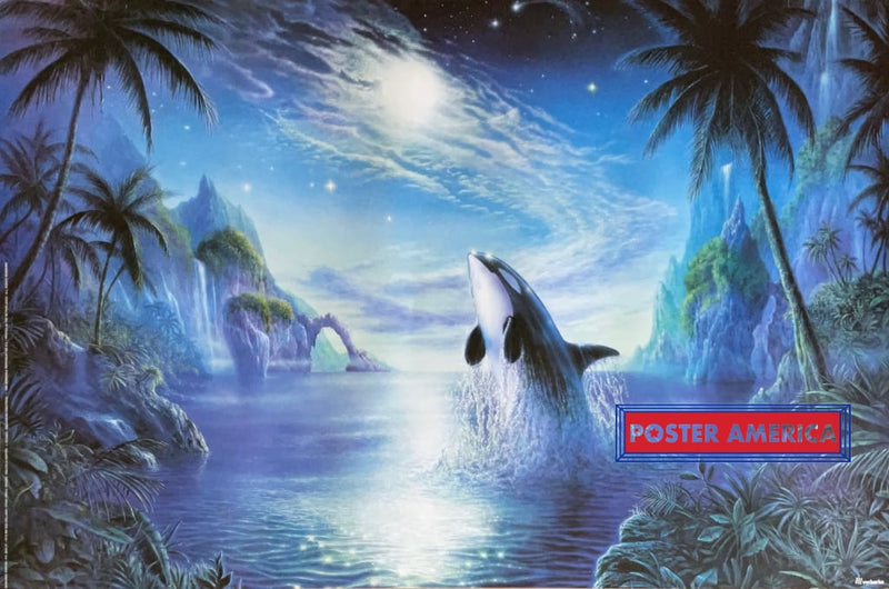 Load image into Gallery viewer, Orca By Malcolm Horton Vintage 1996 Netherlands Import Poster 24 X 36 Vintage Poster
