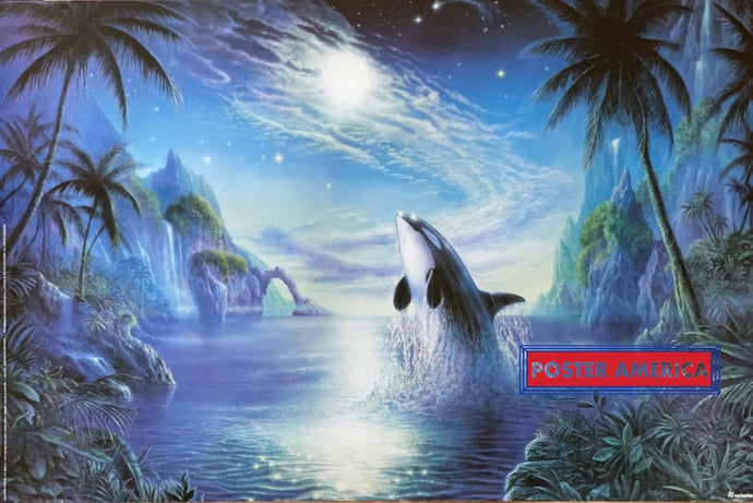Orca By Malcolm Horton Vintage 1996 Netherlands Import Poster 24 X 36
