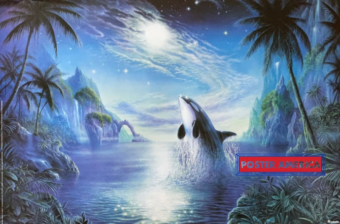 Orca By Malcolm Horton Vintage 1996 Netherlands Import Poster 24 X 36 Vintage Poster