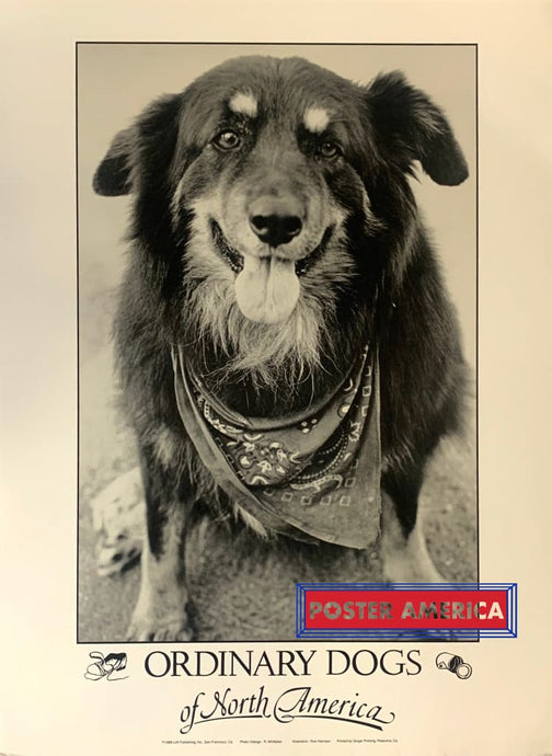 Ordinary Dogs Of North America Photography By R Whittaker 1988 Vintage Poster Print 18 X 25 Vintage