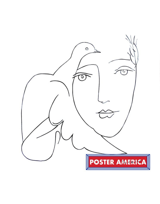 Pablo Picasso Face - Dove Art Print 22 X 28 Posters Prints & Visual Artwork