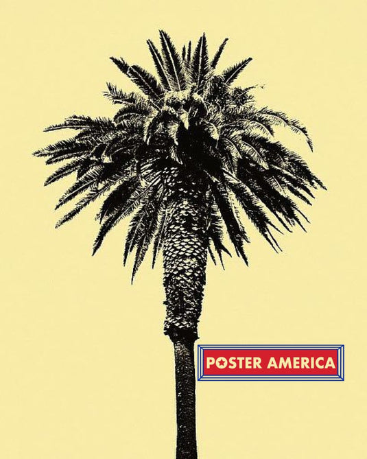 Palm Tree 1996 By Erik Asla Poster Print 18 X 22